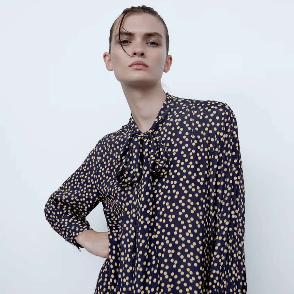 Zara Polka Dot Dress